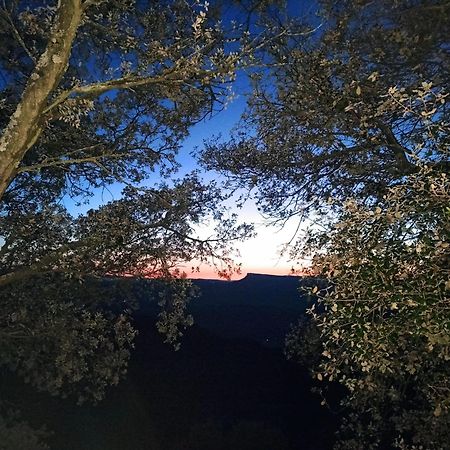 Отель La Terraza Баньолес Экстерьер фото