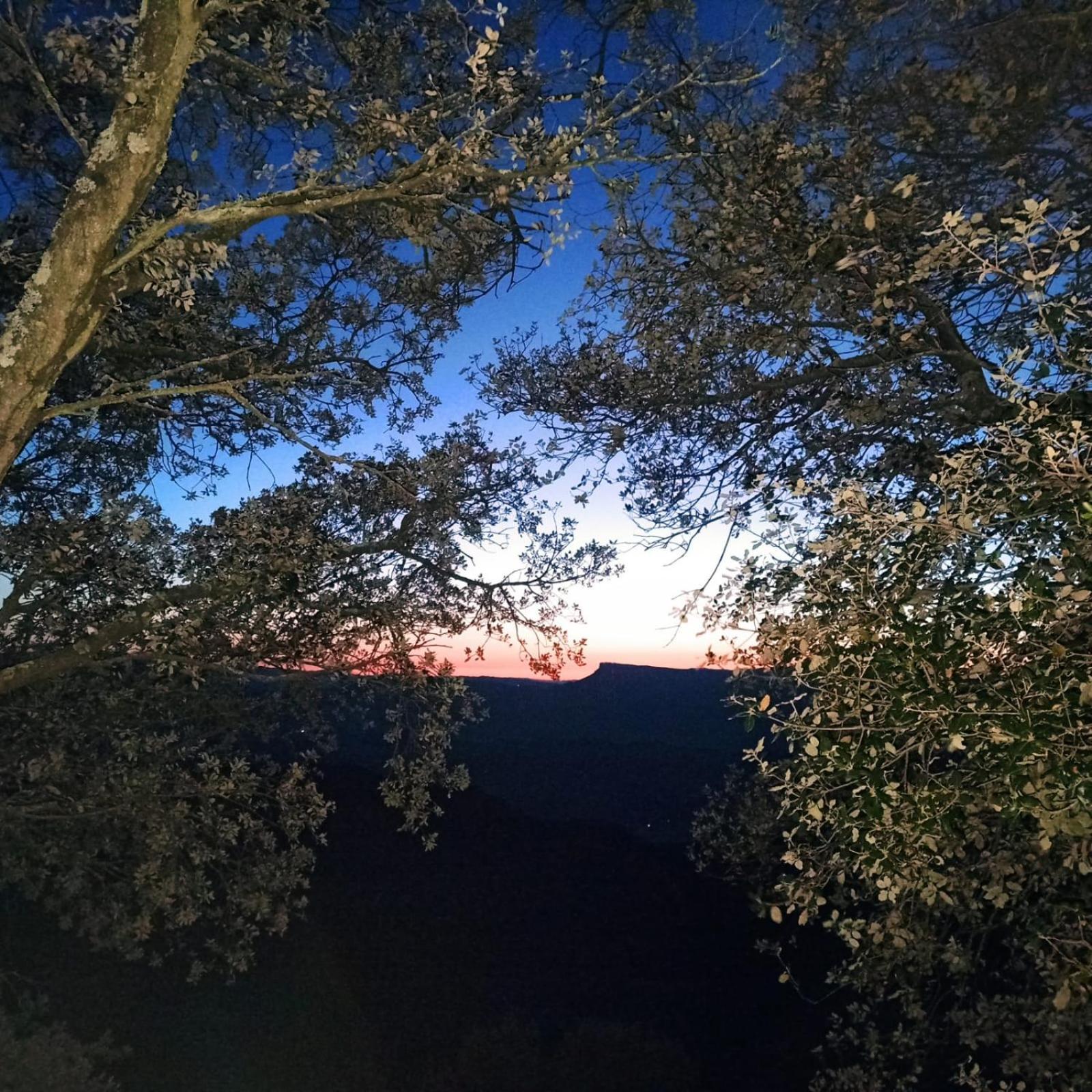 Отель La Terraza Баньолес Экстерьер фото
